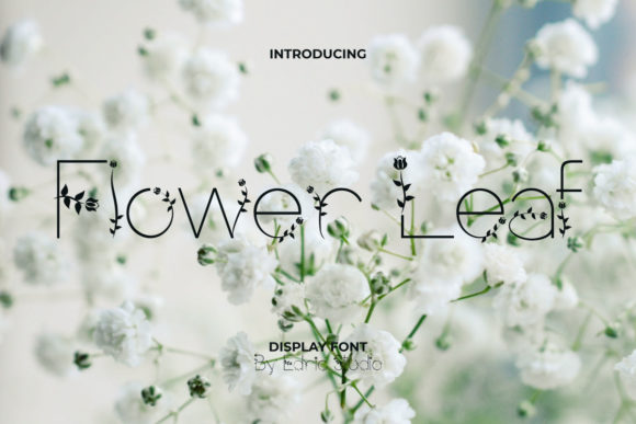 Flower Leaf Font: A Fresh Display Typeface for Digital Design